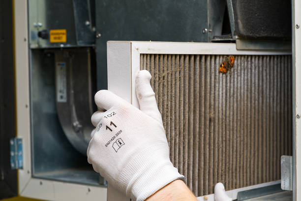 Best Air Duct Cleaning Near Me  in Eagar, AZ