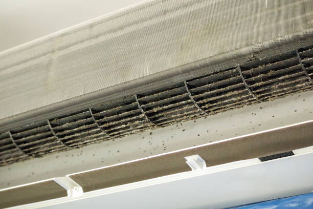 Air Duct Mold Removal in Eagar, AZ